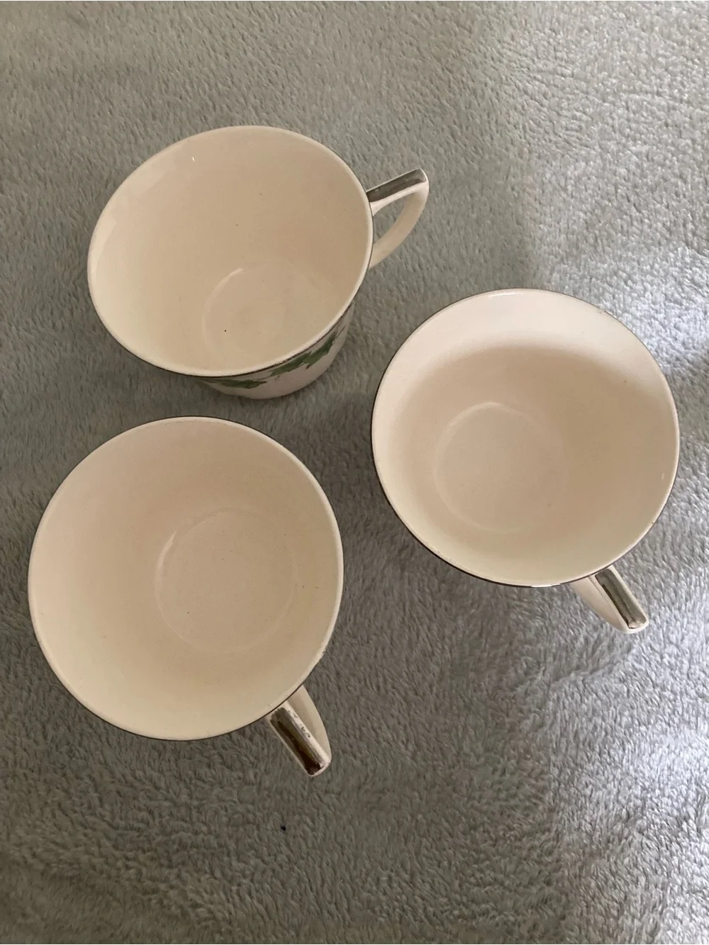 Ivory Ceramic Teacup with Green Ivy Motif - Set of 3